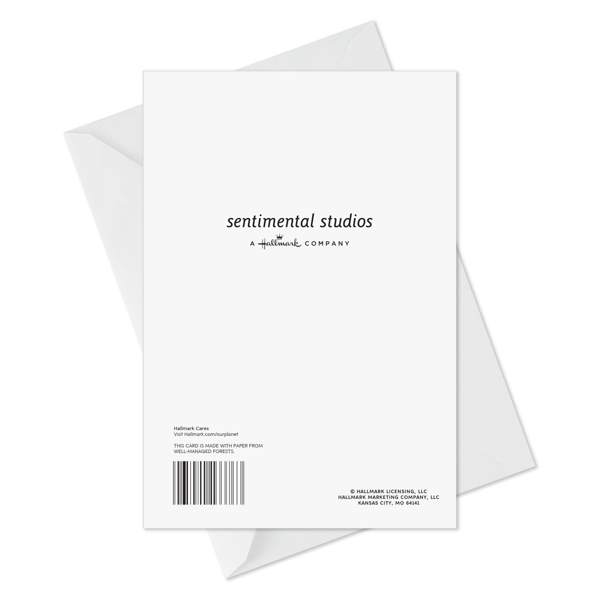 Hallmark Sympathy Card (Our Loved Ones Are in Our Hearts Forever)