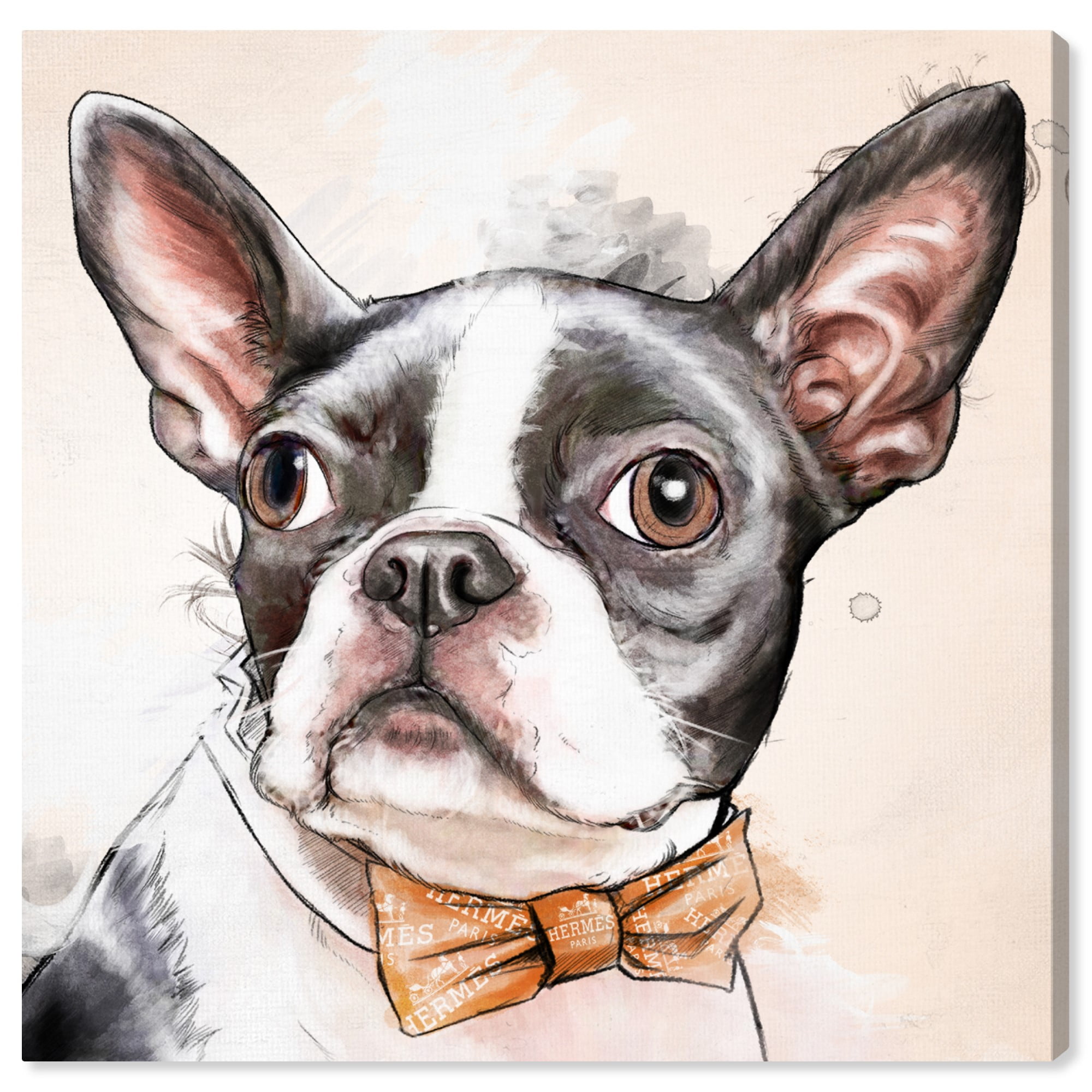 Boston terrier portrait dog drawing print on stretched canvas fine art memorial print painting