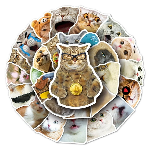 Pegatinas con emoticonos de gatos, anime, paquete de 50 unidades, dibujos animados decorativos