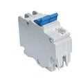 thumbnail image 1 of STAB-LOK 2 Pole Circuit Breaker - 15 Amp, 1 of 1