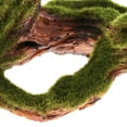 thumbnail image 6 of Reptile Terrarium Landscaping Driftwood Natural Wood Trunk Aquarium Decoration, 6 of 8