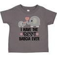 thumbnail image 3 of Inktastic Grandchild Best Babcia Ever Boys or Girls Toddler T-Shirt, 3 of 5