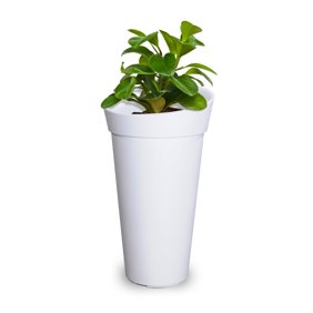 Household Essentials Tall Resin Wicker Floor Vase Planters Set Of