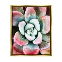 Succulent Plant Rain Droplet Botanical & Floral Photograph Metallic Gold Framed Art Print Wall Art
