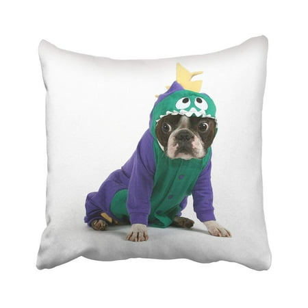 WOPOP White Dog Boston Terrier In Dinosaur Costume Pet Puppy Suit Nose Animal Baby Canine Pillowcase Pillow Cover 20x20 inches