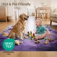 thumbnail image 4 of ODIKA 5'x7' Ultra-Soft Area Rug, Purple Fuzzy Watercolor Petal Scatter Abstract Round Classroom None Washable, Bare feet friendly, Silk-Touch for Bedroom Home office, 4 of 7