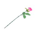thumbnail image 2 of Way To Celebrate Valentine Red Single Rose, 2 of 5