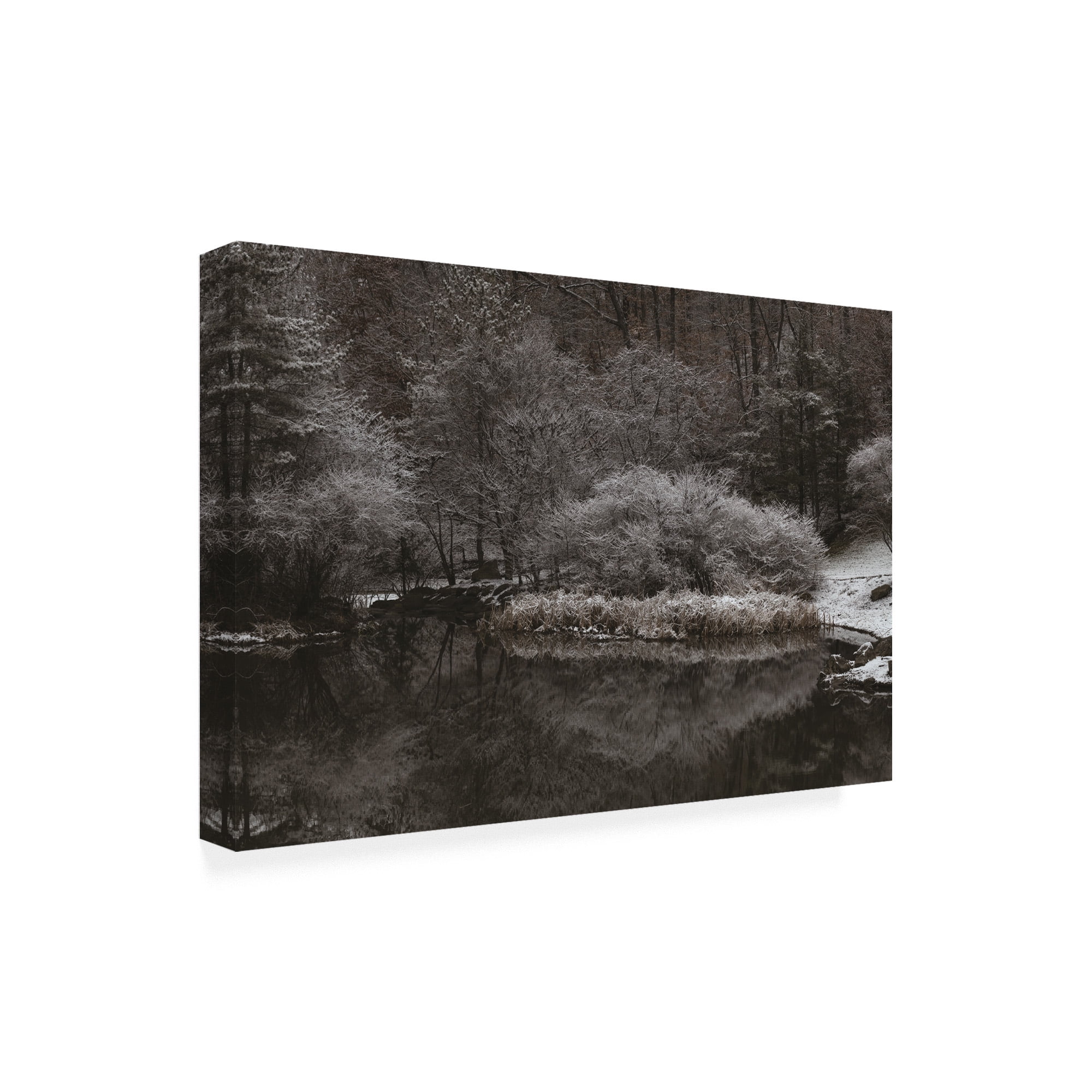 Trademark Fine Art 'Serene Winter Scene' Canvas Art by Kurt Shaffer Photographs