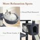 thumbnail image 5 of Free Shipping Multi-Level Cat Tree with Scratching post Cat Scratcher Cat Tower with Condo Hammock Cat Bed House Pet Cat Toy ShopWise Round, 5 of 9