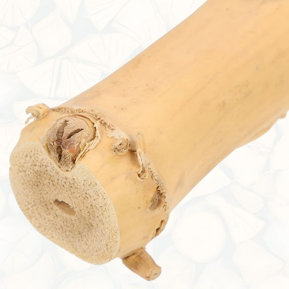 ACDANC Bearded Dragon Accessories Bearded Dragon Tank Decor Reptile Tree Branch Suction Cup Type Wood Branch Lizard Climbing Toy