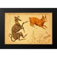 thumbnail image 2 of Aspin, Jehoshaphat 24x17 Black Modern Framed Museum Art Print Titled - Canis Major, Lepus, Columba Noachi and Cela Sculptoris, 1825, 2 of 5