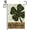 D, variant on Welcome St. Patrick''s Green Leopard-print Four-leaf Clover Garden Flag 12.5x18in, Home Outdoor Patio Holiday Garden Flag Decoration -D