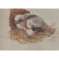 thumbnail image 2 of Bruno Liljefors 24x18 Gold Ornate Framed and Double Matted Museum Art Print Titled - Detail Study of a Peregrine Falcon's Nest (1896), 2 of 4