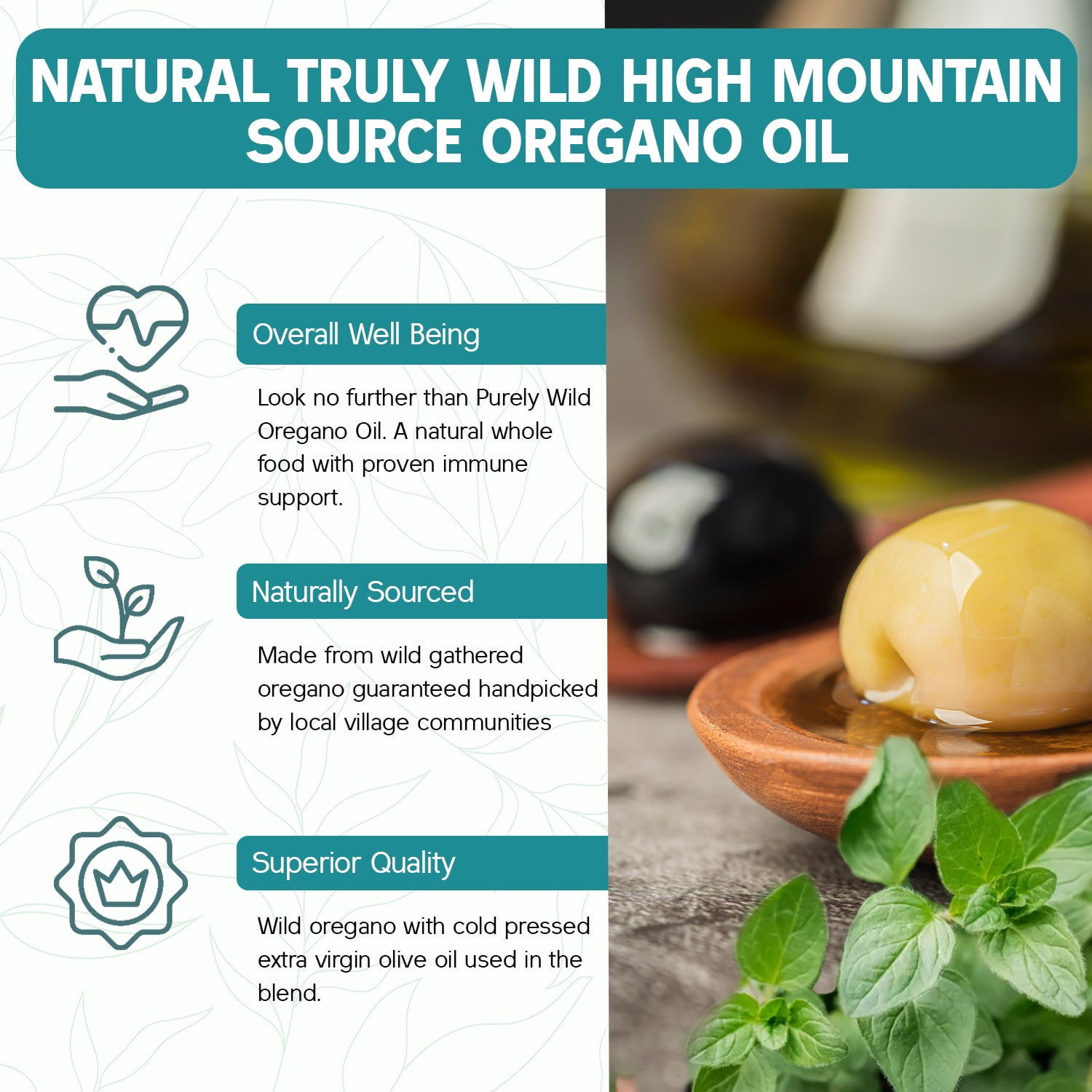 Dr. Cass Ingram's Extra Power Wild Mediterranean Oregano Oil &ndash; 1 fl oz | Potent Oil of Oregano for Immune Support