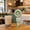 Green, variant on Handheld Misting Fan Rechargeable, Portable 7 Inch Cooling Fan with Adjustable Angle, USB Powered Personal Mister for Travel Office Outdoor