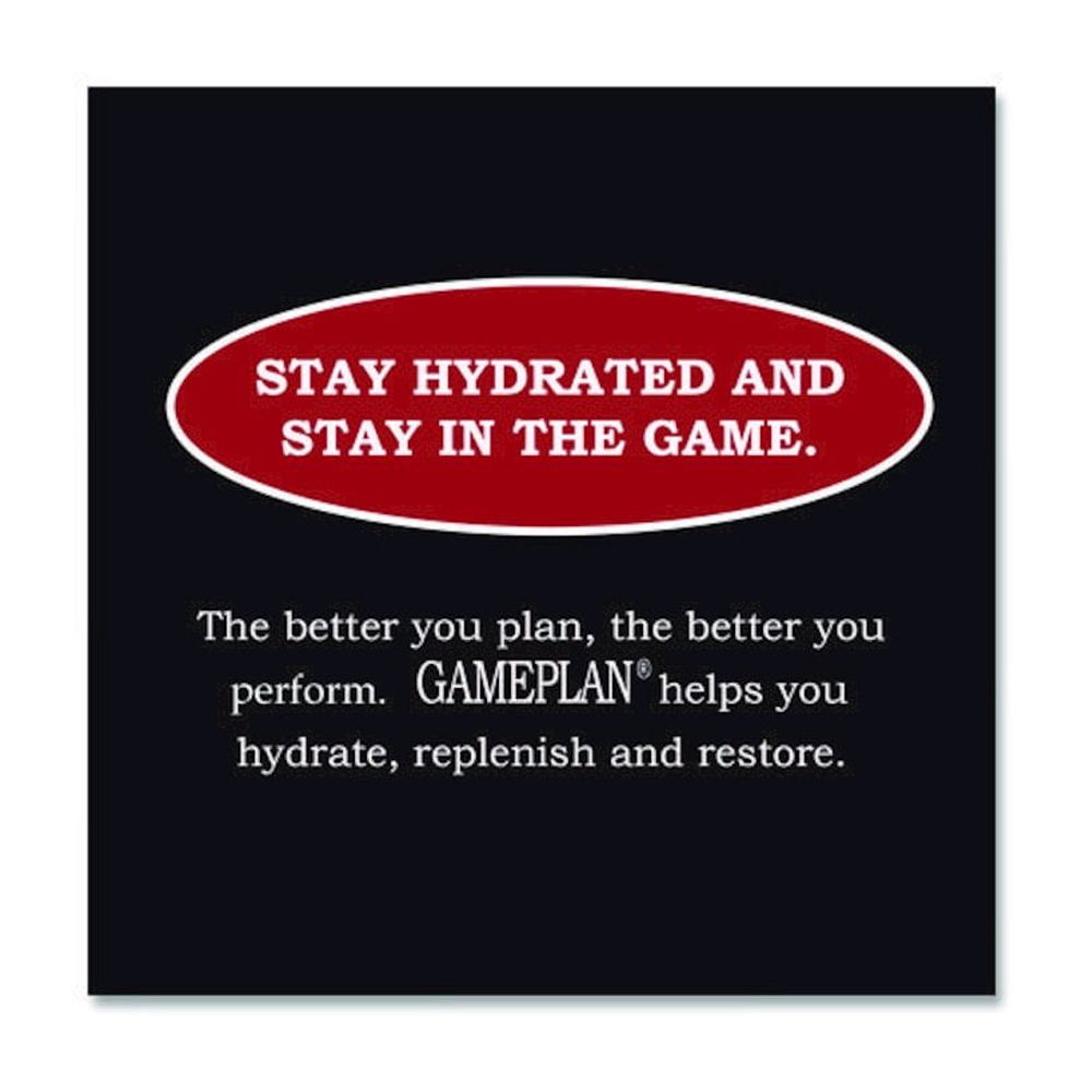 Niagara Gameplan Sports Drink, Fruit Punch, 20 oz Bottle, 24/Carton