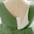 thumbnail image 5 of FINALGANG Girls Kids Floral Embroidered Tulle Dress Sleeveless V Neck 3D Flower Decor Flared Skirt Princess Party Dress For Daily Wear Green 3-6 Months, 5 of 6