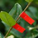 thumbnail image 2 of 40pcs Pvc Cinta especial para jardinería 1,1 cm x 30m Blanco Afortunado Sencillez, 2 of 5