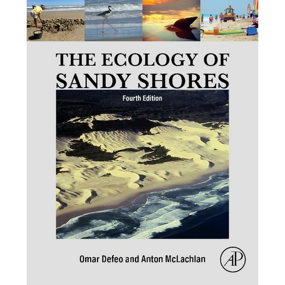 The Ecology of Sandy Shores, (Paperback)