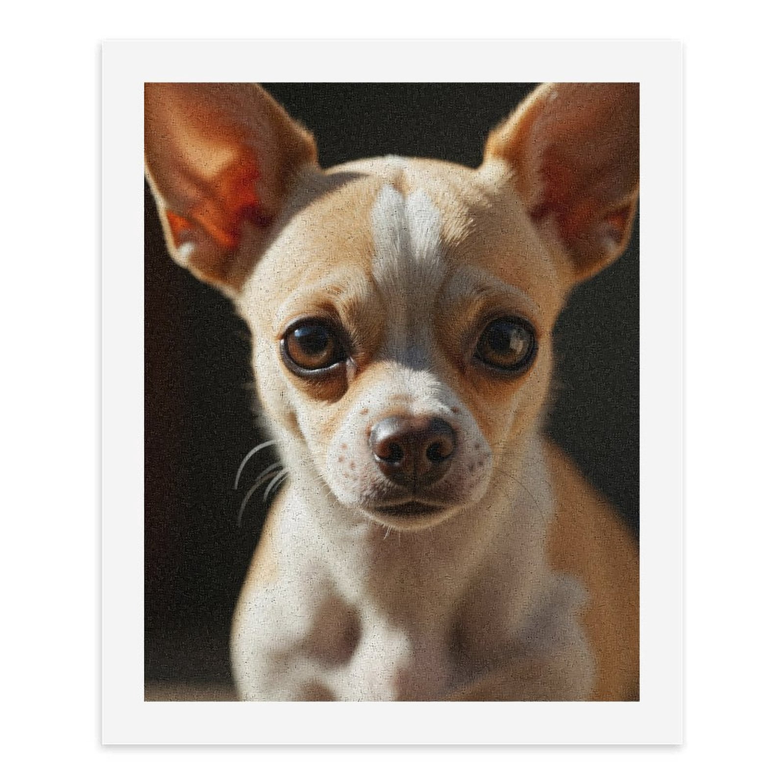 Paint By Numbers Kit for Adults Beginner - DIY Small Cute Dog Big Eyes Canvas Painting Kits for Adults, Frameless Paint By Number for Adults for Home Wall Decor 16x20 Inch