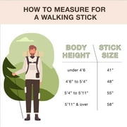 Brazos Twisted HitchHiker Brown Oak Wood Walking Stick 58 Inch Height