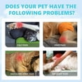 thumbnail image 4 of Xihbxyly Gotas para Aliviar El Dolor En Mascotas, Fórmula Natural para La Salud Articular, Suplemento para La Artritis En Perros y Gatos, Calmante y Ayuda para Dormir, Gotas Líquidas Fáciles de Usar,, 4 of 7
