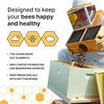 thumbnail image 5 of Mann Lake Traditional Complete 10-Frame Bee Hive Kit, Fully Assembled 9⅝” Deep Hive Body with 10 Frames, Beeswax-Coated Foundation, Telescoping Cover, Bottom Board & Reducer, Made in USA, Unpainted, 5 of 7