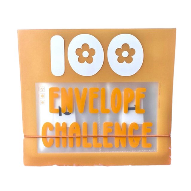 Bgsha 100 Envelope Challenge Savings Binder Money Saving Budget Couple Savings Plan