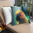 thumbnail image 1 of Ahgly Company Animals Parrot Coussin Extérieur, 18 Pouces par 18 Pouces, 1 of 6