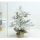 thumbnail image 1 of Árbol de Navidad de mesa, Mini árbol de Navidad Artificial de PVC PE de alta calidad con nieve flocada, Mini árbol de Navidad Artificial para interiores, 1 of 4