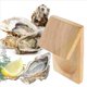 thumbnail image 3 of 5X Abridor para Descascarar Ostras, Pinza para Mariscos, Portaherramientas, Almeja Manual, Desgranador de Cangrejos, 3 of 5
