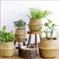 thumbnail image 1 of Wicker Baskets Woven Basket Wicker Basket Picnic Baskets Picnic Set Indoor Planter Plant Basket Large Plant Pot Rattan Decor Seagrass Baskets Woven Baskets Rattan Basket Woven Wall Basket, 1 of 6