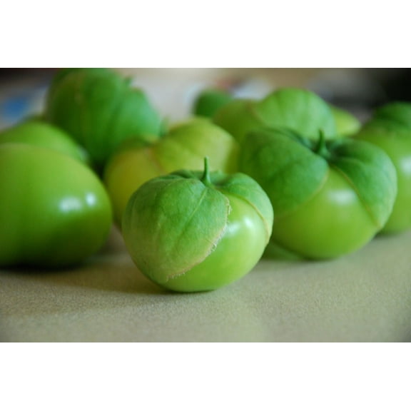 Toma Verde Tomatillo Seeds/ Full Sun/ Annual/2250 Seeds 1/8 oz/ Zellajake Farm and Garden - B273