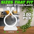 thumbnail image 2 of 100Pcs Clear Plant Clips for Climbing Plants Indoor – White Flexible Vine Wall Clips with Self-Adhesive Mounts, Universal Size Set for Vines, Easy Installation with Strong Grip, 2 of 18