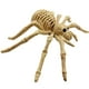 thumbnail image 4 of Animales De Halloween, Huesos, Simulación De Terror, Esqueleto, Decoración De Fiesta De Halloween Speravity HA044865-03, 4 of 5