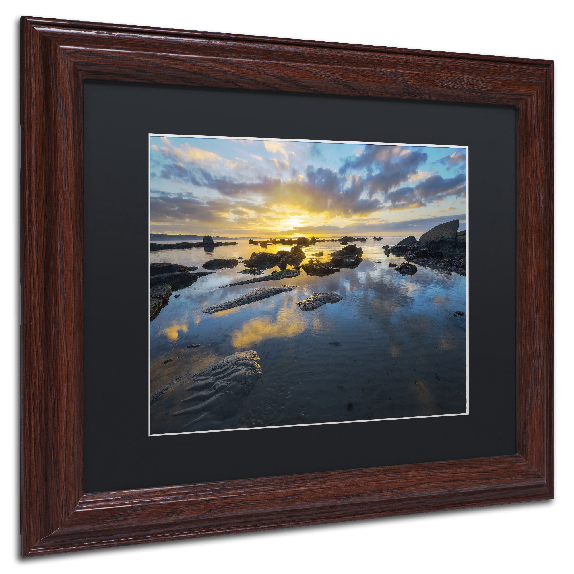 Trademark Fine Art "Nature's Gift" Canvas Art by Mathieu Rivrin, Black Matte, Wood Frame