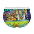 thumbnail image 5 of Scooby Doo Women's Panties Breathable, Sexy Everyday Comfort Lace Underwear Stretchable 4XL, 5 of 7
