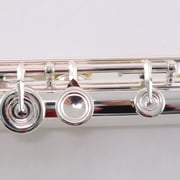Selmer Model SFL511BEO Intermediate Flute