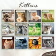 thumbnail image 6 of EcoEarth 12-Month Vertical Wall Calendar, Adorable Kittens, 11" x 22", 2026 Calendar, 6 of 7