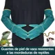 thumbnail image 5 of Guantes Protectores Anti-arañazos Anti-mordida Veterinario, 5 of 8