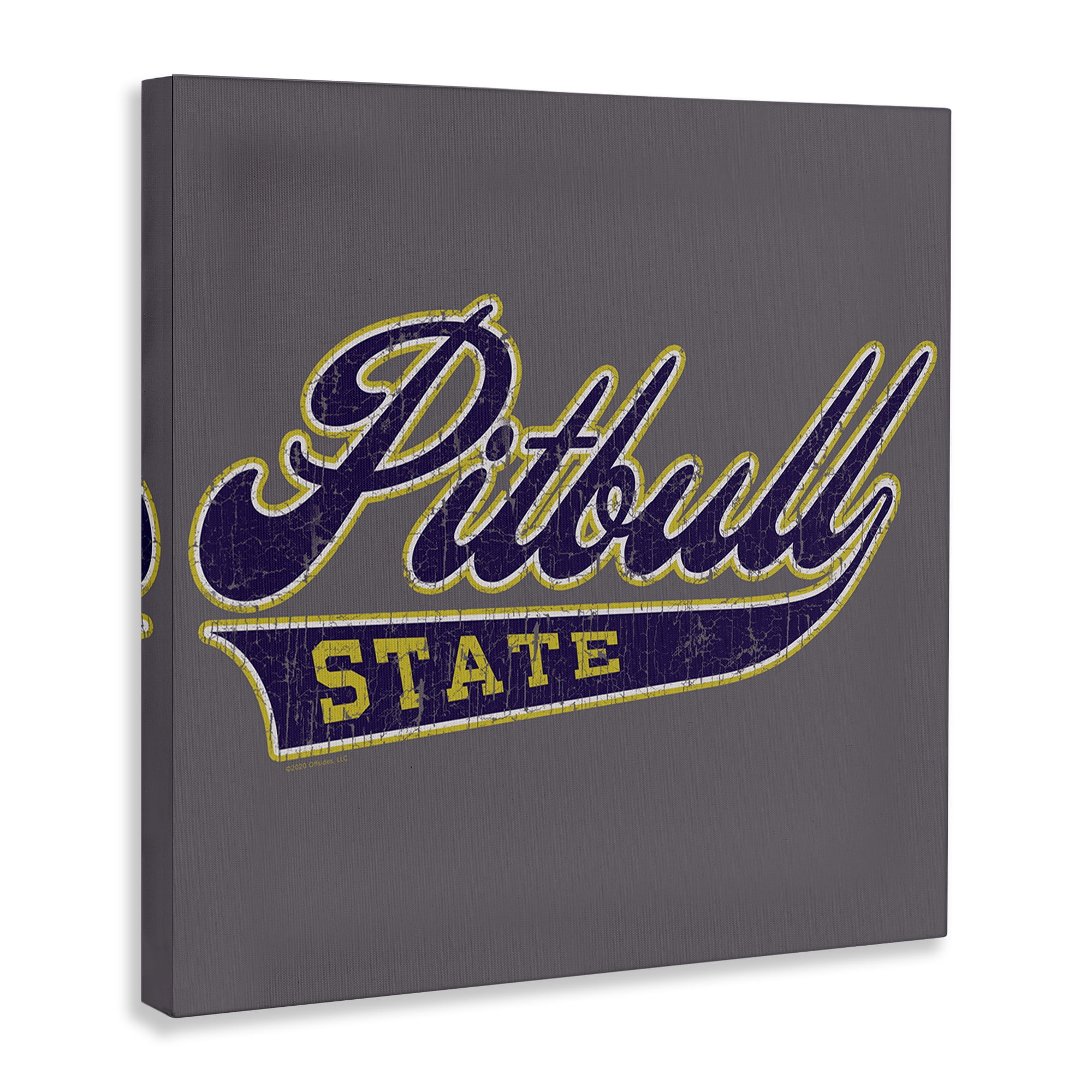 Stupell Industries Varsity Style Pitbull State Novelty & Humor Painting Wrapped Canvas Art Print Wall Art, 30 x 30