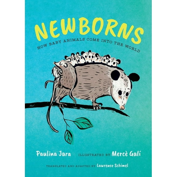 Newborns: How Baby Animals Come Into the World, (Hardcover)
