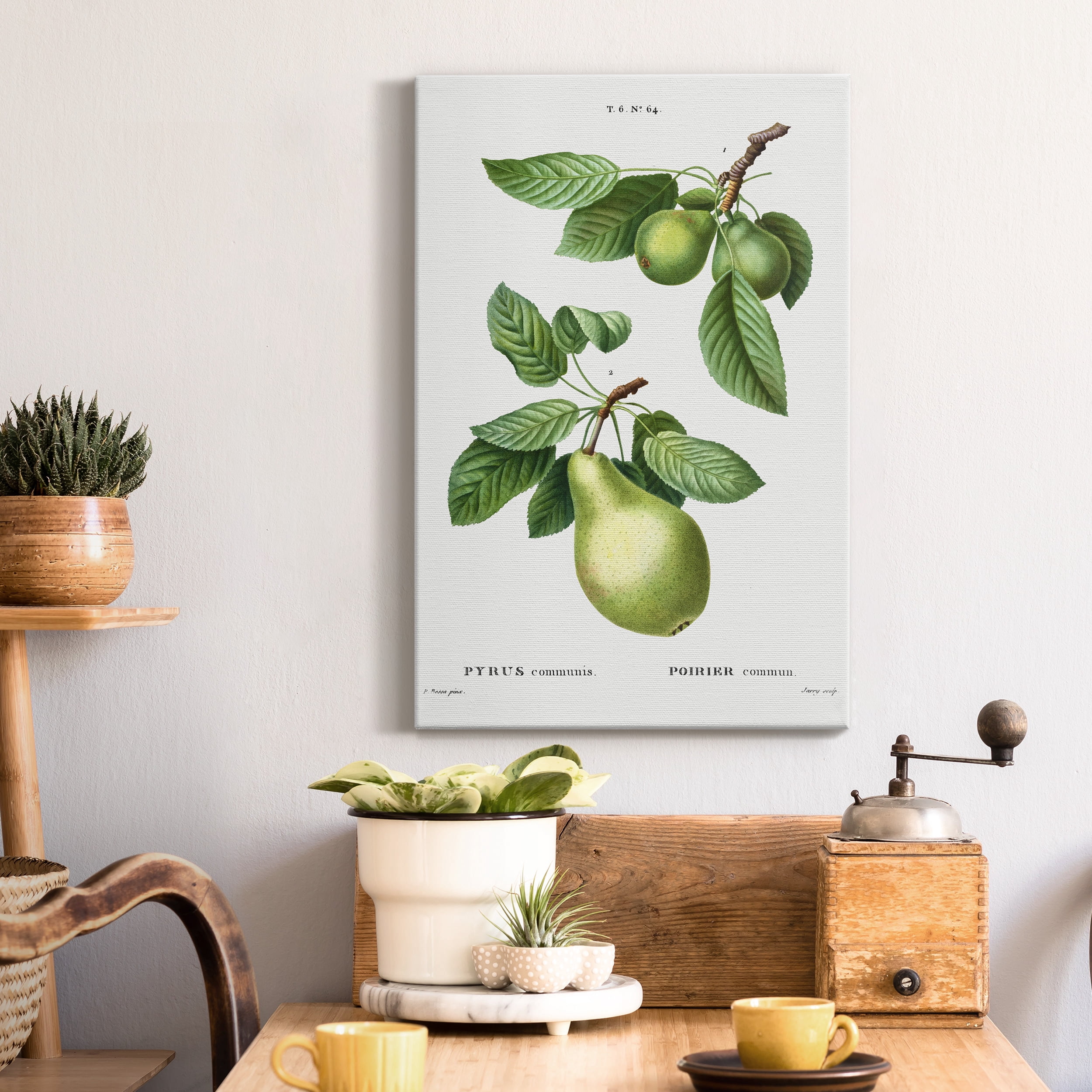 Pear, Pyrus communis from Traité des Arbres et Arbustes que l'on cultive en France en pleine terre Premium Gallery Wrapped Canvas - Ready to Hang - 12 x 18