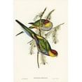 thumbnail image 2 of Gould, John 17x24 Gold Ornate Wood Framed with Double Matting Museum Art Print Titled - Red-capped Parakeet-Platycercus pileatus, 2 of 4