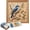 Bluebird, variant on Luxury Bird Pearl Art DIY Kit,DIY Pearl Art Painting Kit for Adults, Elegant Birds and Flower Diamond Painting Kit with Frame, DIY Wall Decor Craft Kit for Home Decoration (Hummingbird)