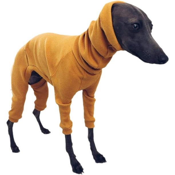 Country value greyhound hot sale