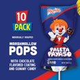 thumbnail image 2 of Marshmallow Lollipops with Chocolate Coating – 10-Pack, 2 of 7