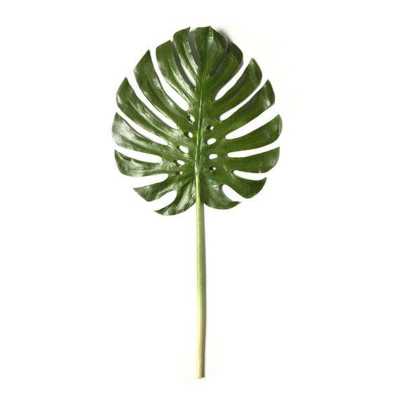 Tropical Monstera Leaf Stem by Ashland