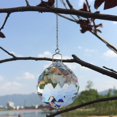 thumbnail image 4 of Suncatcher Crystals Ball Prism Window Rainbow Maker with Chain for Easy Hanging 40mm 2 Pack, 4 of 5