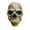 Brown - Non-luminous, variant on Realistic Skull Mask with Movable Jaw LED Light Up Skeleton Mask for Adults Teens Halloween Cosplay